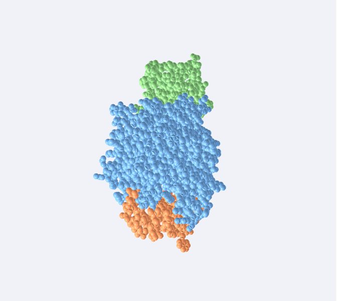Amylase (molécule réelle) en 3D