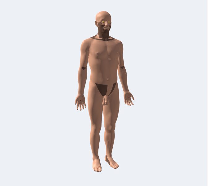 Cuerpo completo en 3D