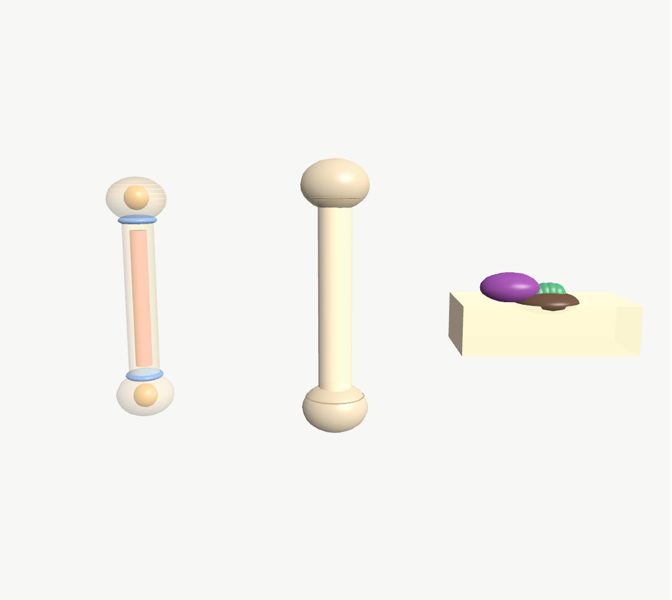 El hueso que crece en 3D en la app Asclepio