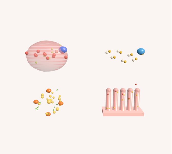 Química de la digestión in 3D