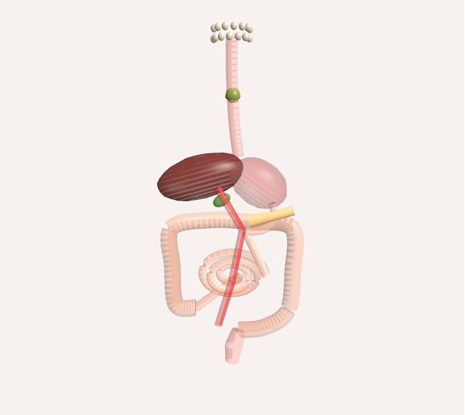 Viaje de la comida en 3D
