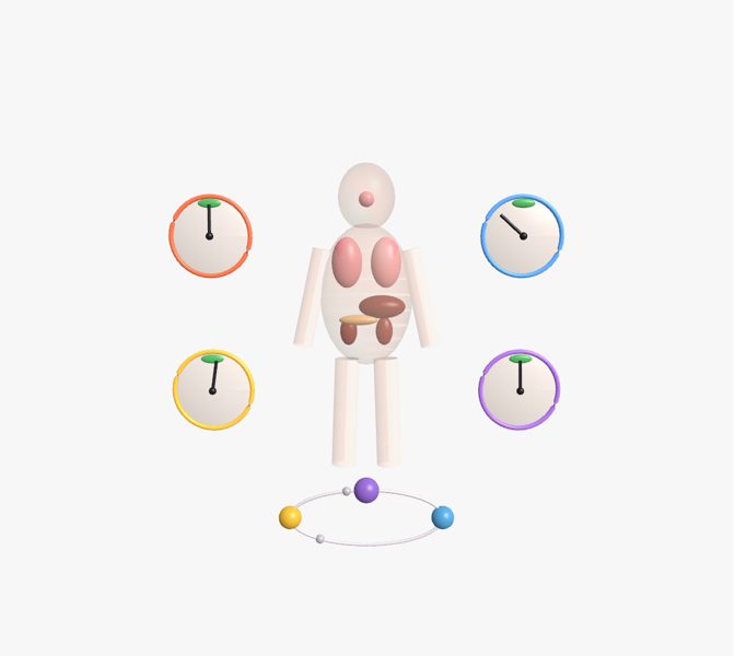 Homeostasis: el cuerpo en equilibrio en 3D en la app Asclepio