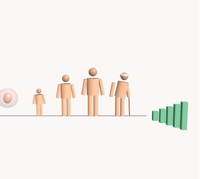 Etapas de la vida en 3D en la app Asclepio
