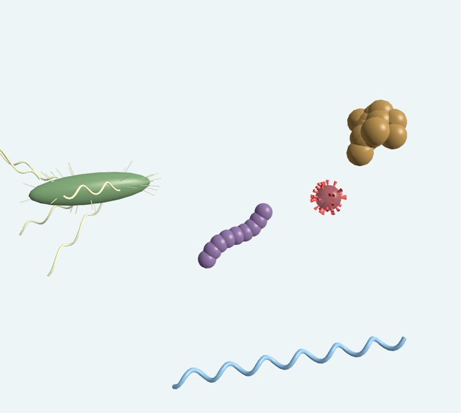 Microbios: bacterias y virus en 3D