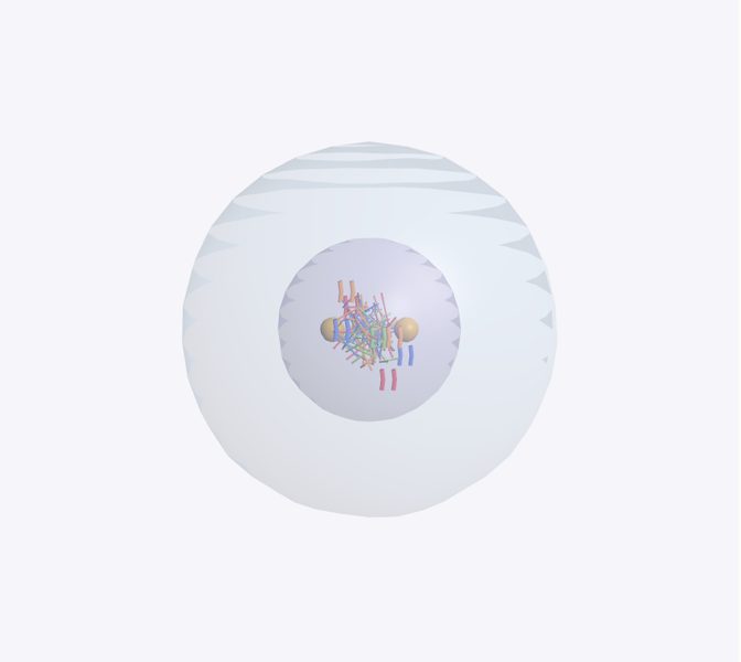 División celular (mitosis) en 3D