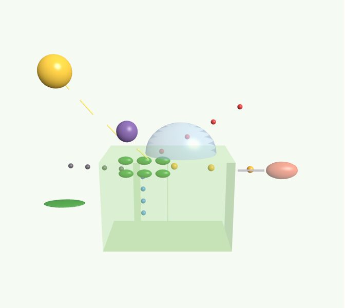 Célula vegetal y fotosíntesis en 3D en la app Asclepio