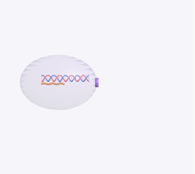 Del ADN a la proteína en 3D